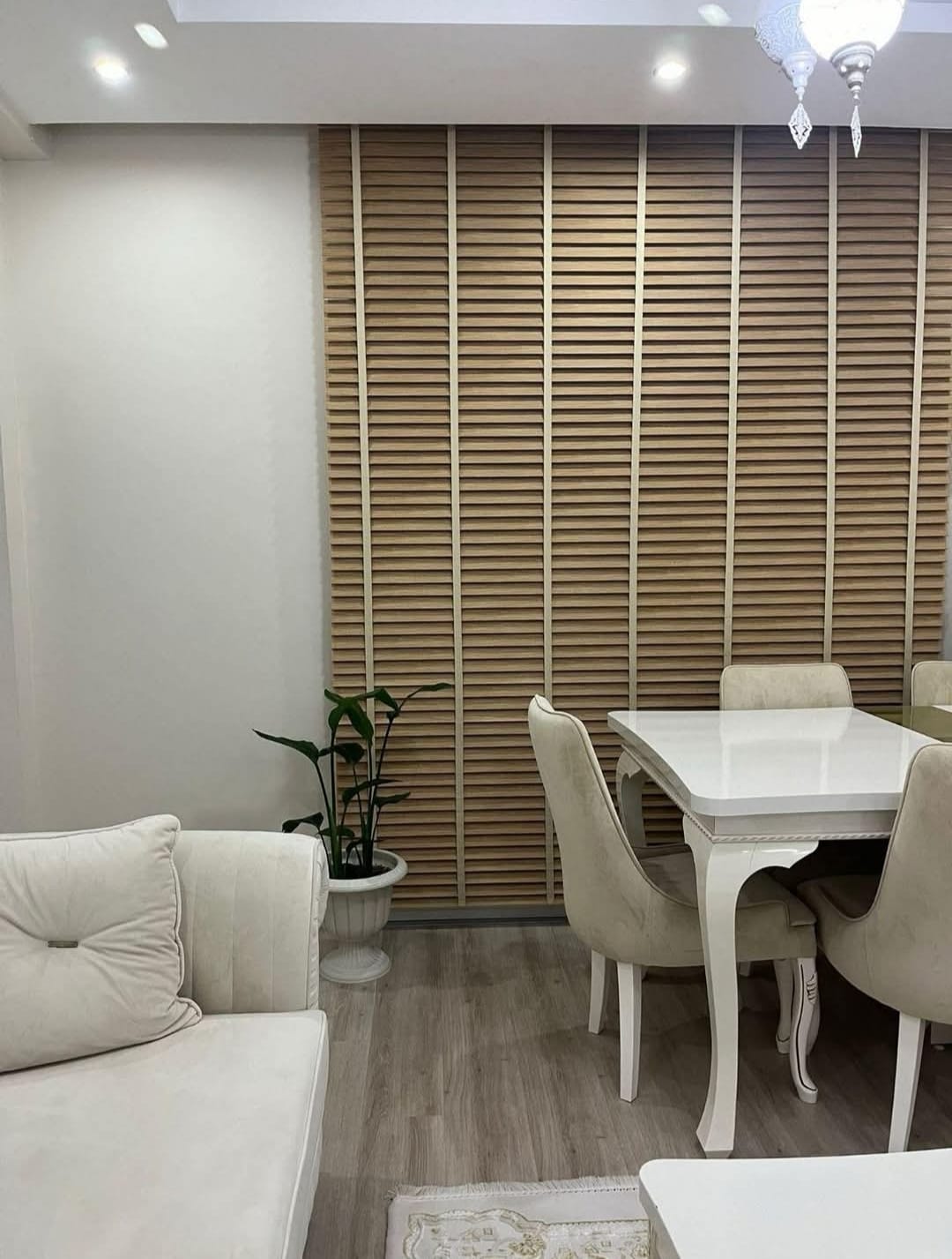 Royal 2025 - Zebra zavese